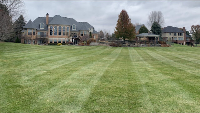 Platinum Lawn Service & Landscaping