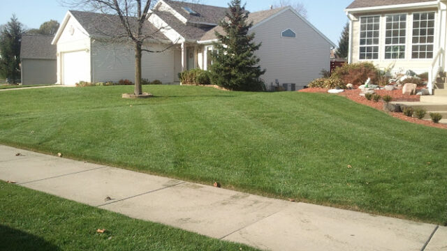 Lawn Doctor of Grand Rapids