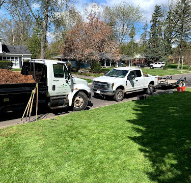 Bud, Branch & Blossom, Landscaping, LLC