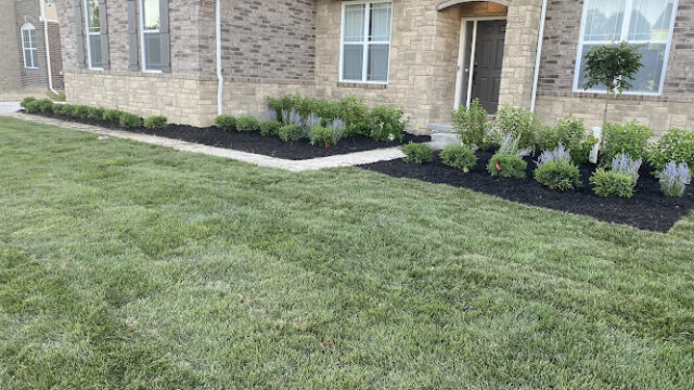 Z Landscaping & Design