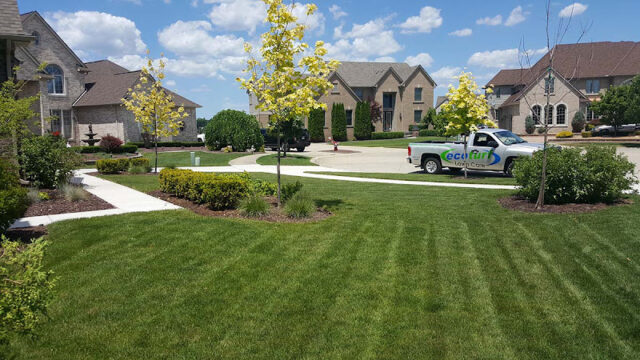 EcoTurf Lawn Care