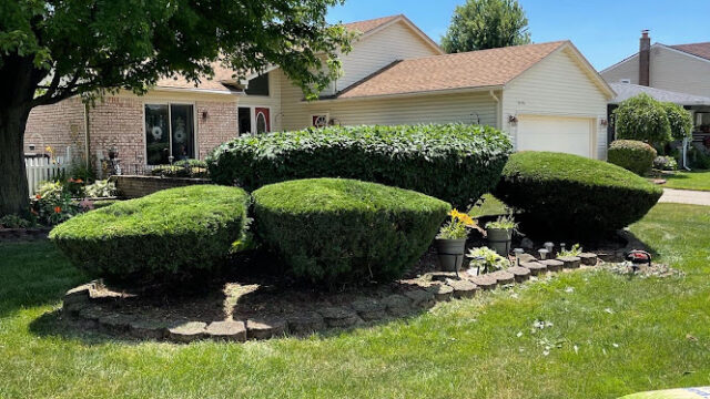 Crisp Cuts Landscaping LLC