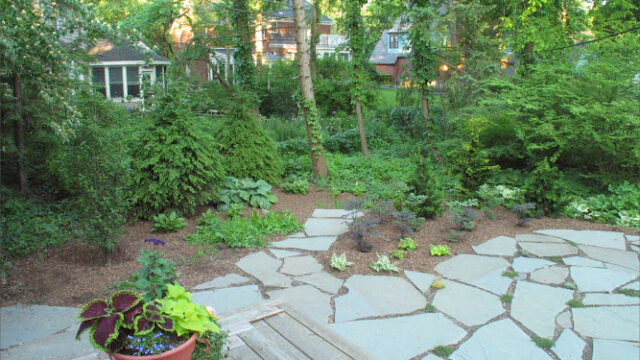 Nature and Nurture Organic Gardening and Landscaping