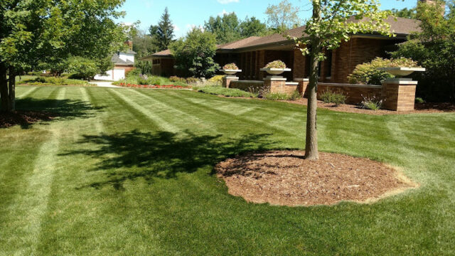 All Terra Landscape Services LLC