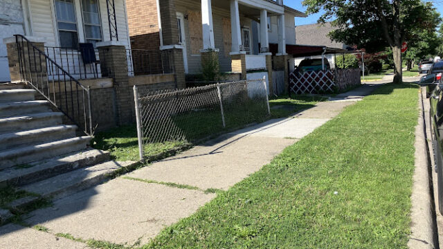 Hamtramck Lawn Care