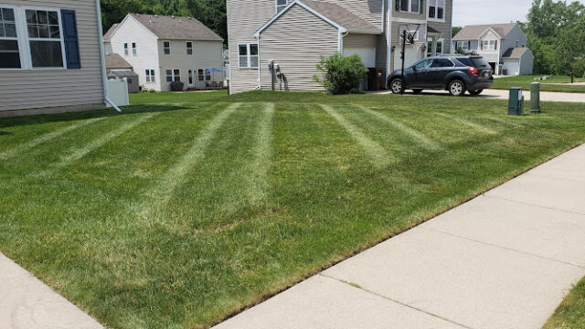 Lawn Barbers of Lansing