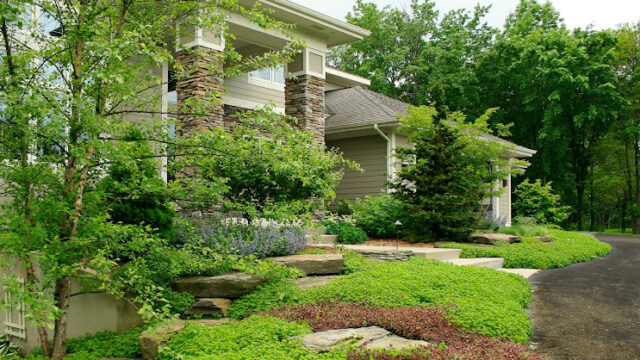 Cox Landscape & Garden Design