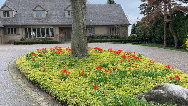 A Southern Gardener