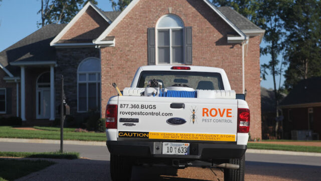 Rove Pest Control