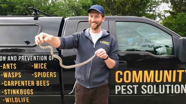 Community Pest Solutions