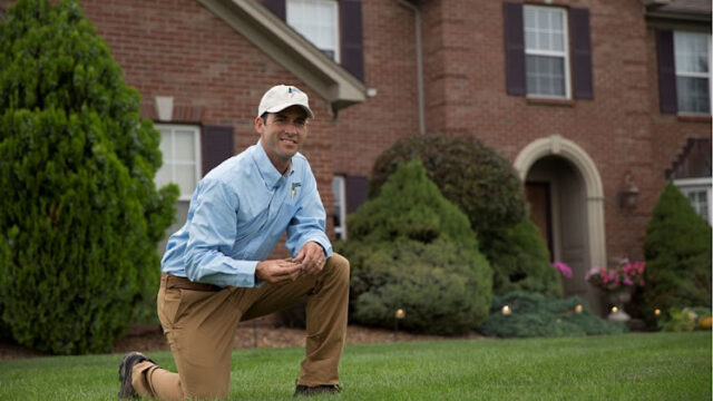 Lawn Doctor of Royal Oak-Birmingham-Southfield-Farmington