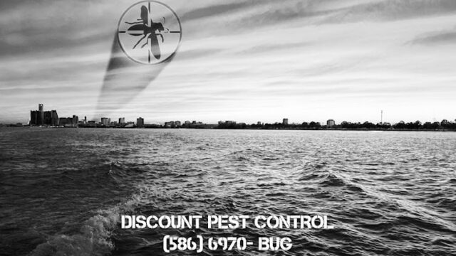 Discount Pest Control