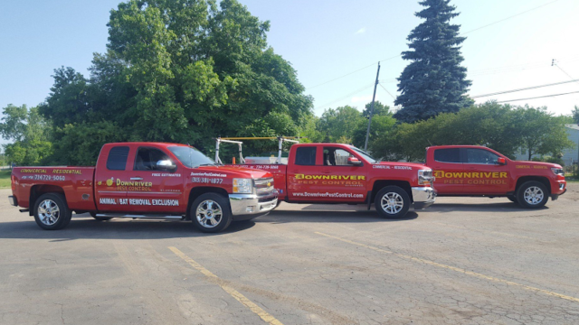 Downriver Pest Control