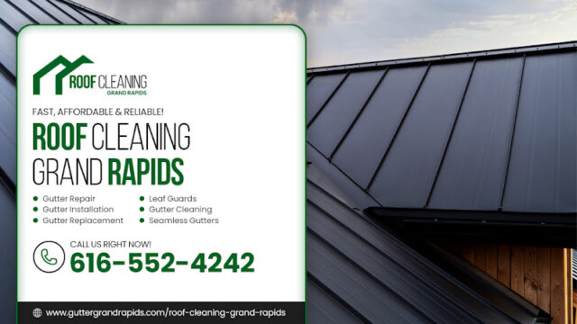 Roof Cleaning Grand Rapids