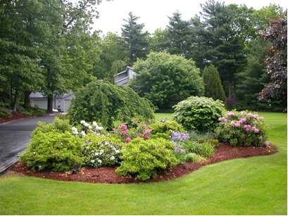 Michigan Hydroseeding