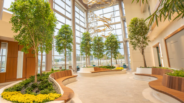 Planterra Interior Landscaping