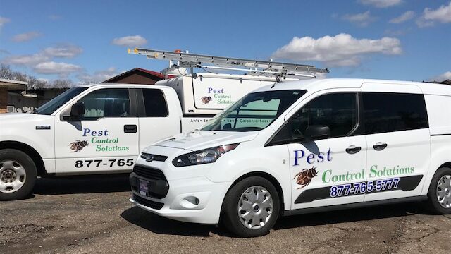 Pest Control Solutions