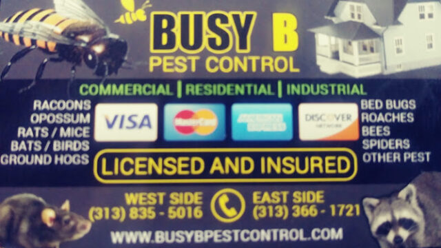 Busy B Pest Control